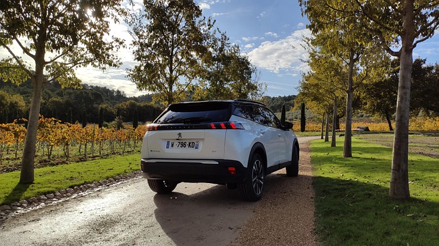 Elektriske brugtbiler: Er det nu, du skal slå til?